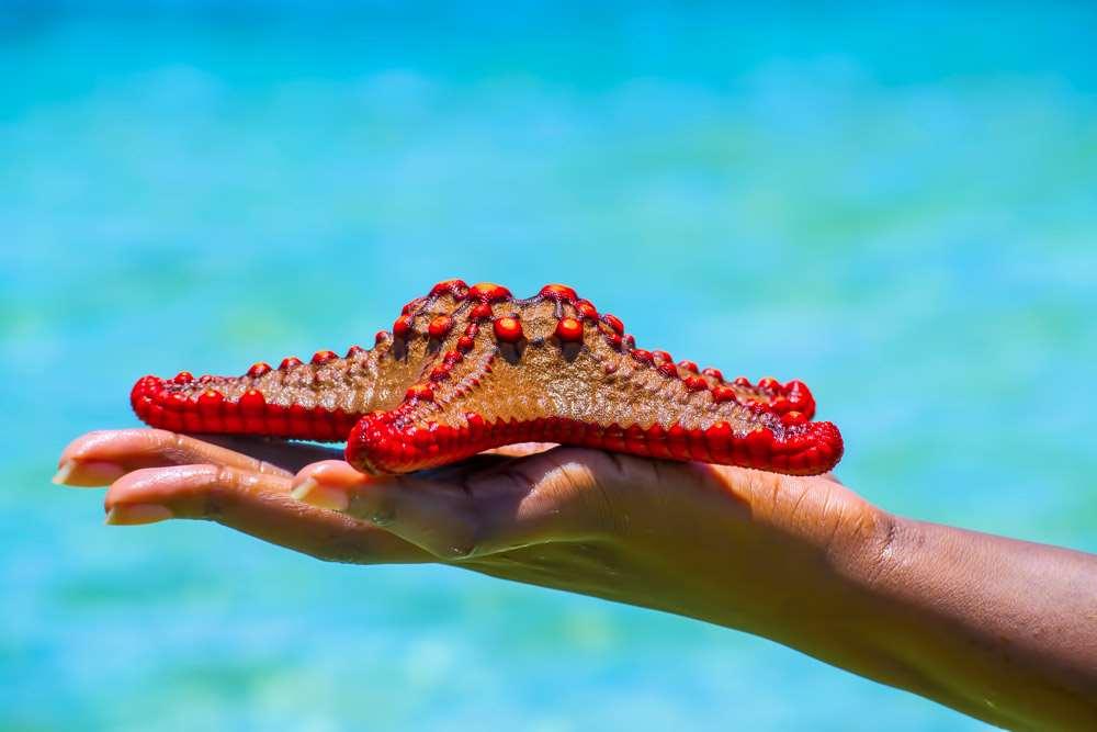 Mombasa Beach Hotel Amenities photo